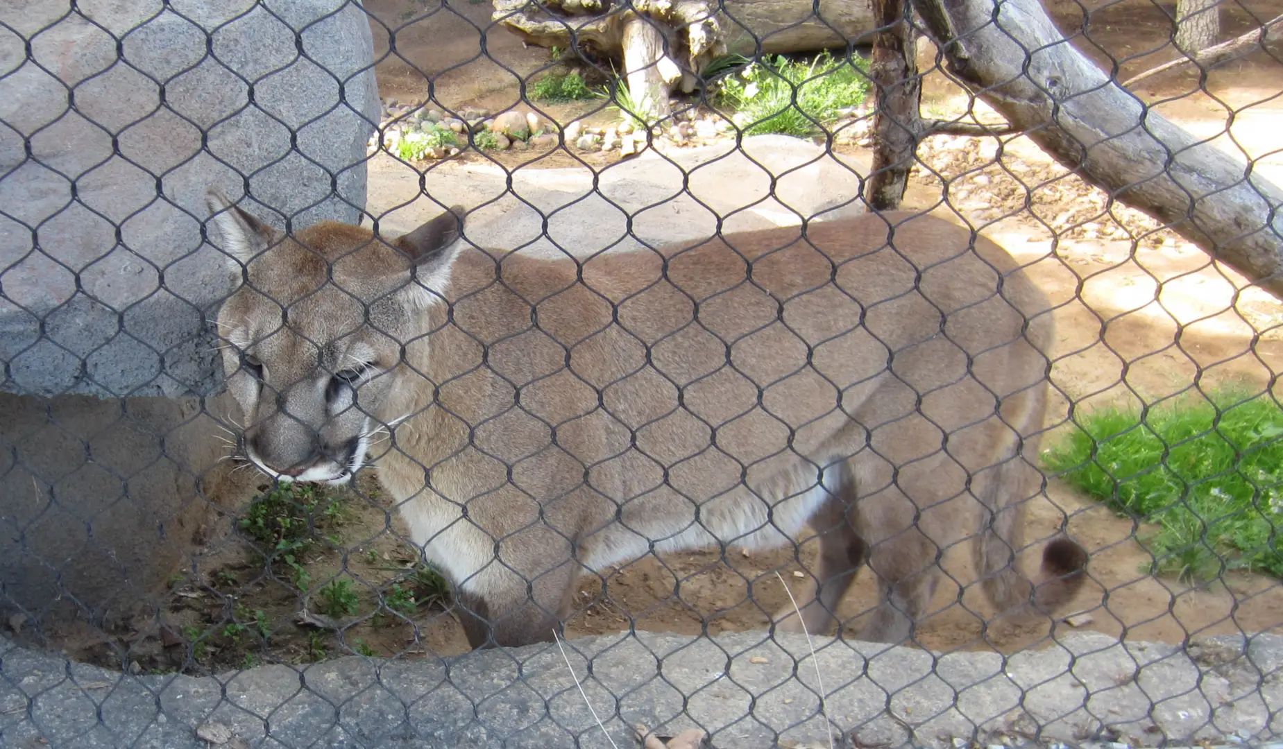 San Diego Zoo