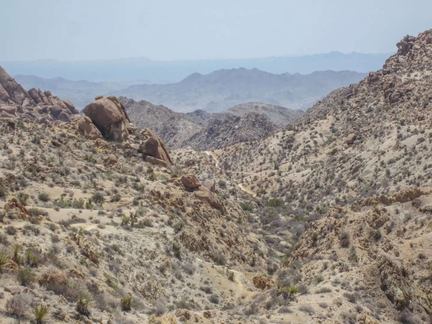 Joshua Tree National Park (Warning - Spider Photos)