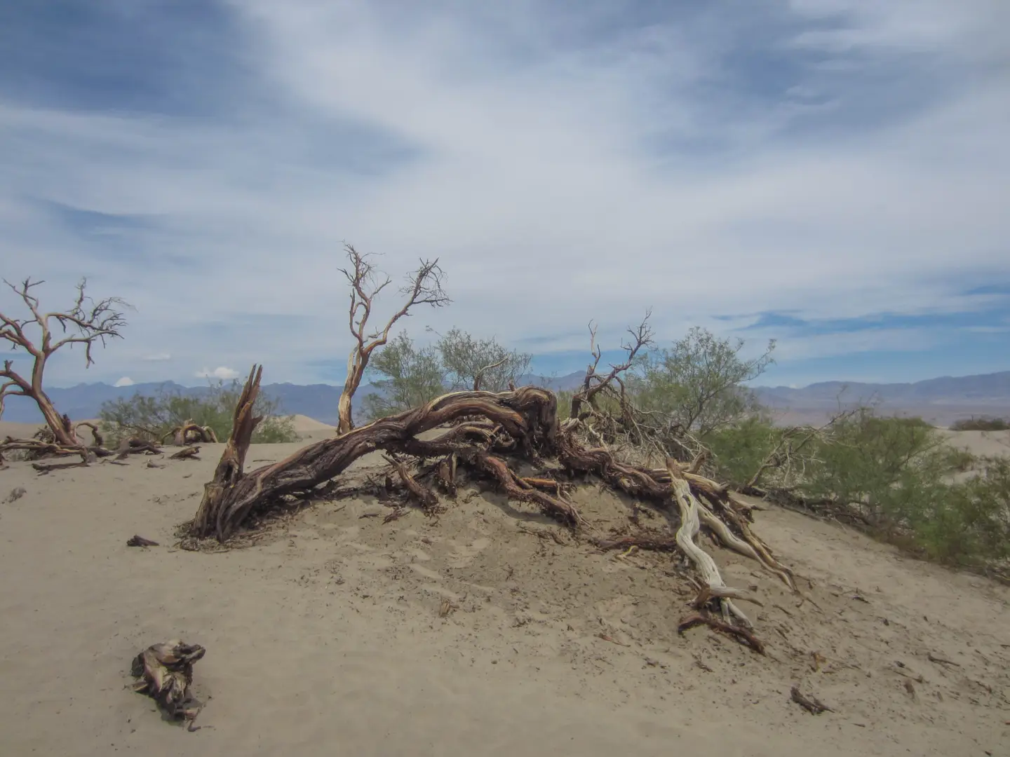 Death Valley National Park