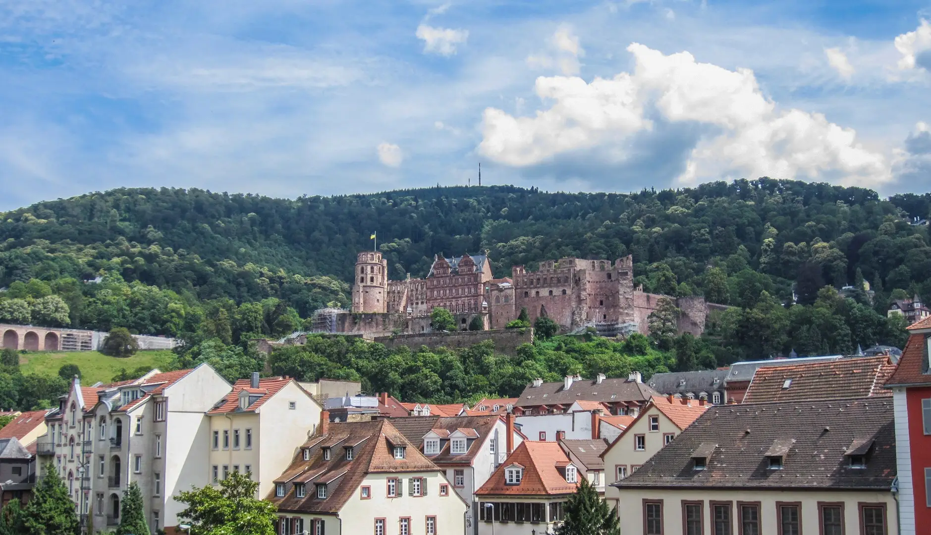 Heidelberg and Cologne