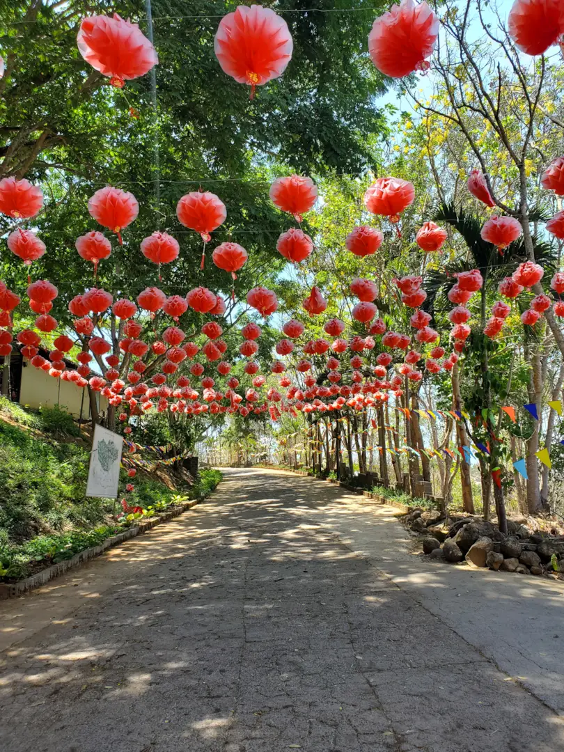 Scenic Da Lat