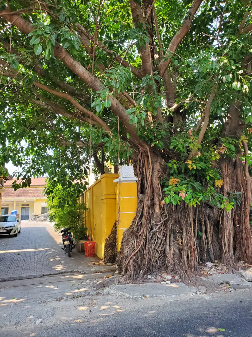 Hoi An