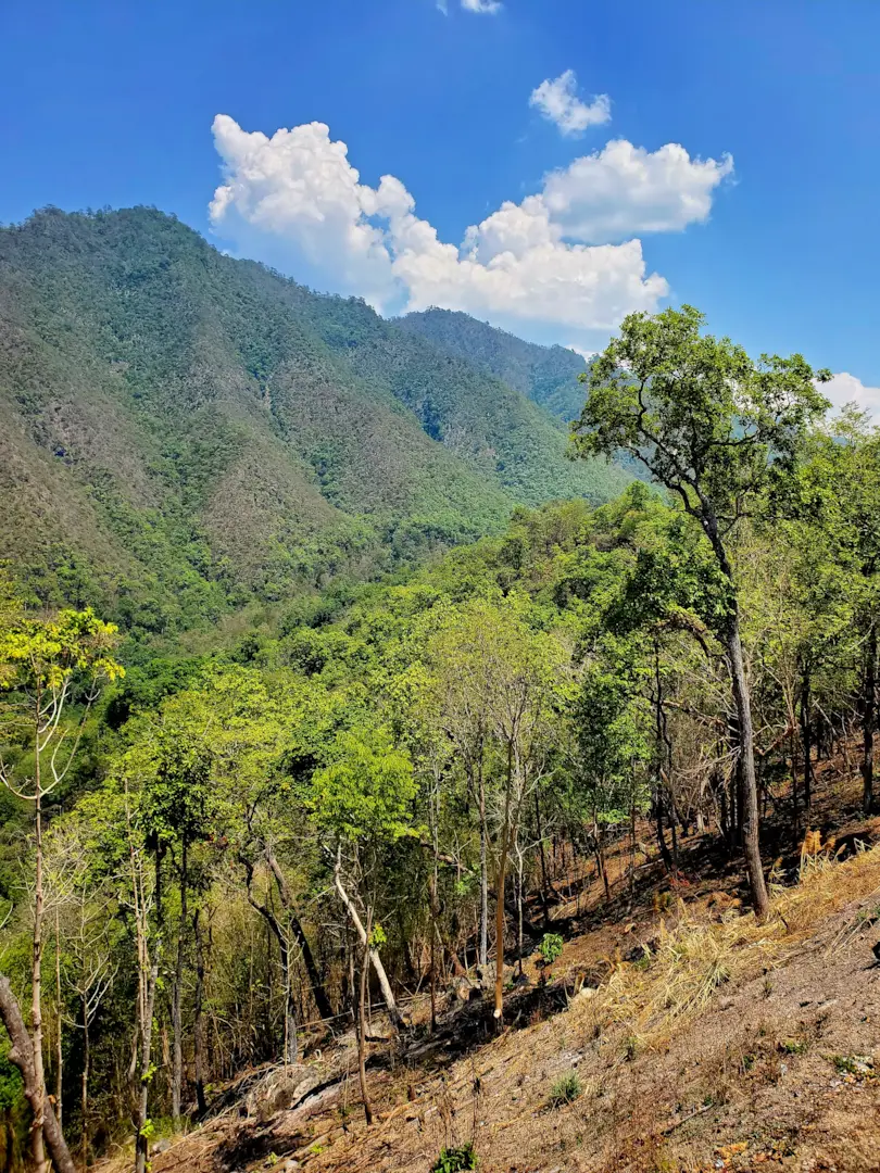 Mae Hong Son 