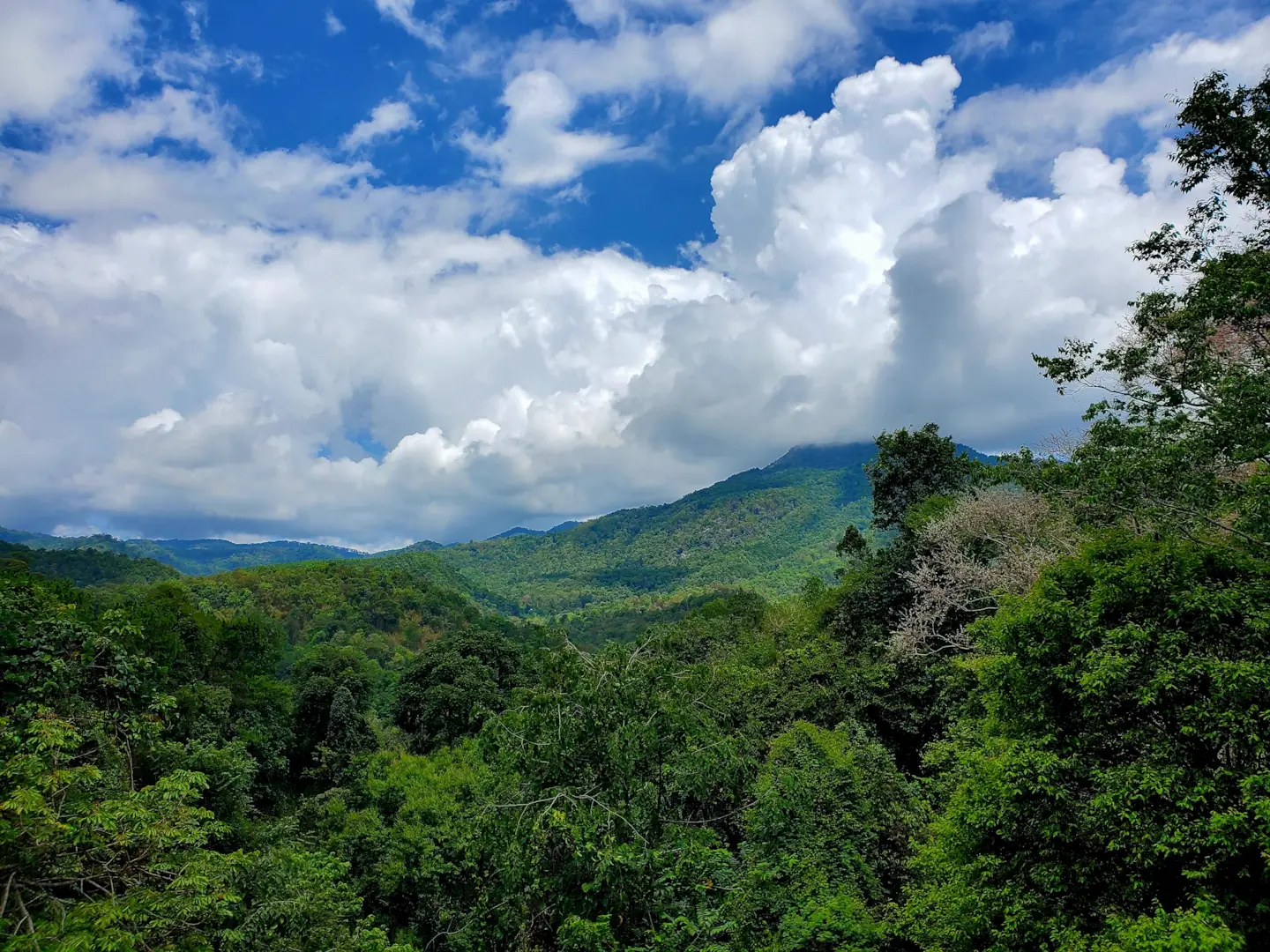 Chiang Mai II