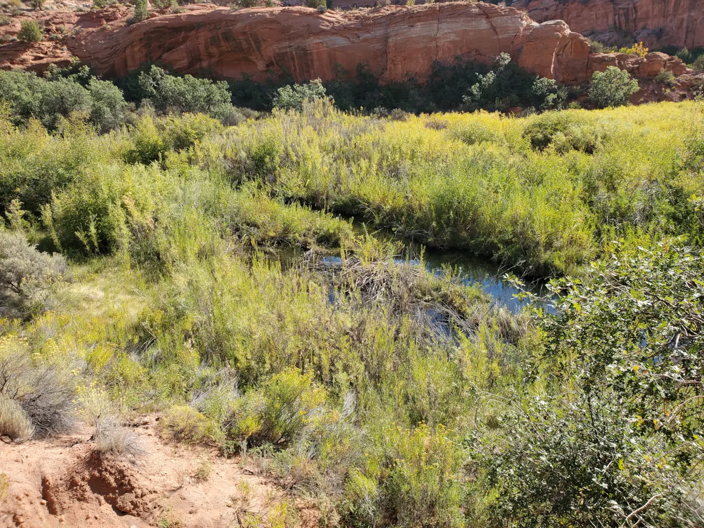 Grand Staircase-Escalante 