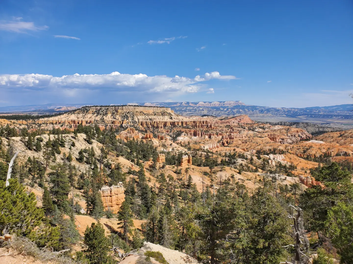 Bryce Canyon National Park 