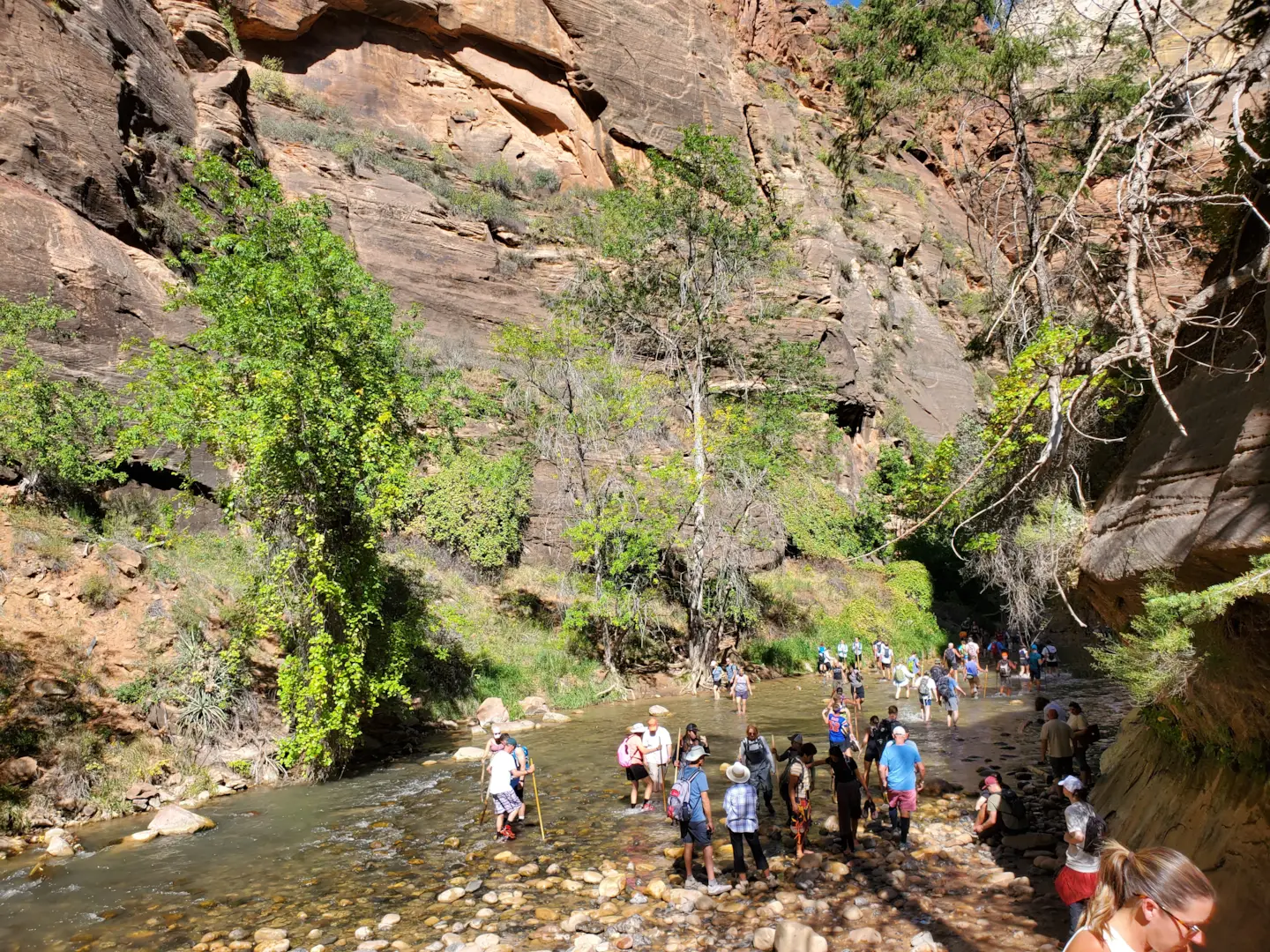 Zion National Park 