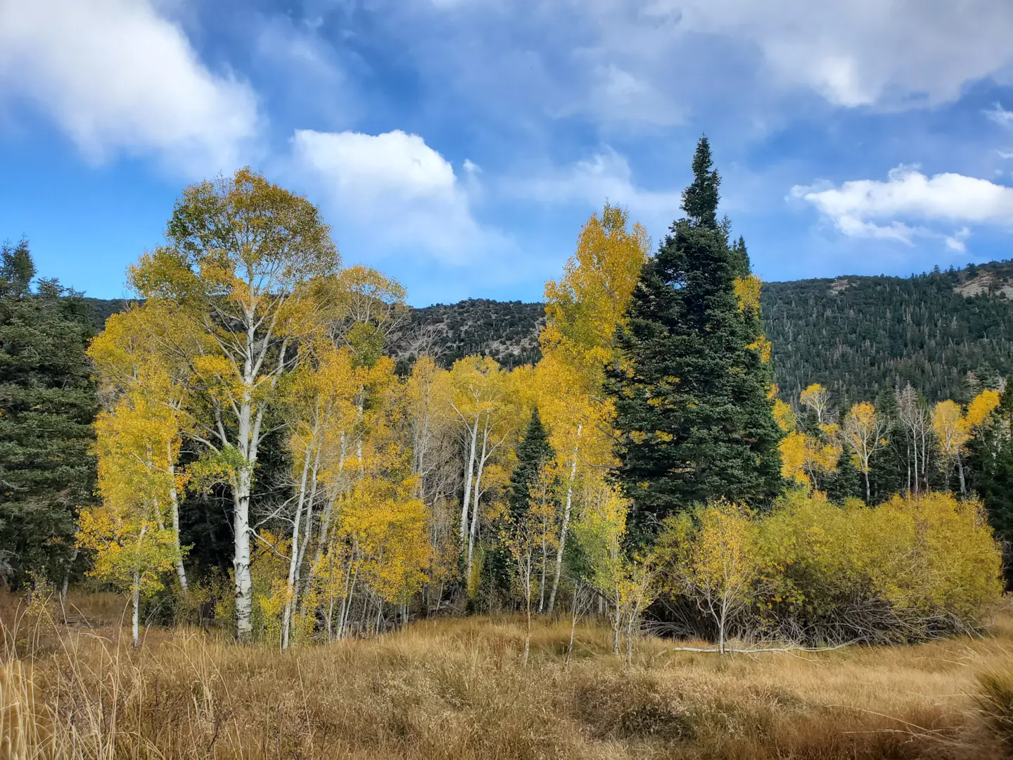 Great Basin National Park 