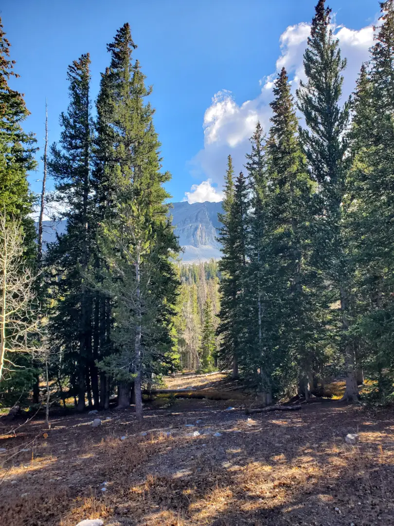 Great Basin National Park 