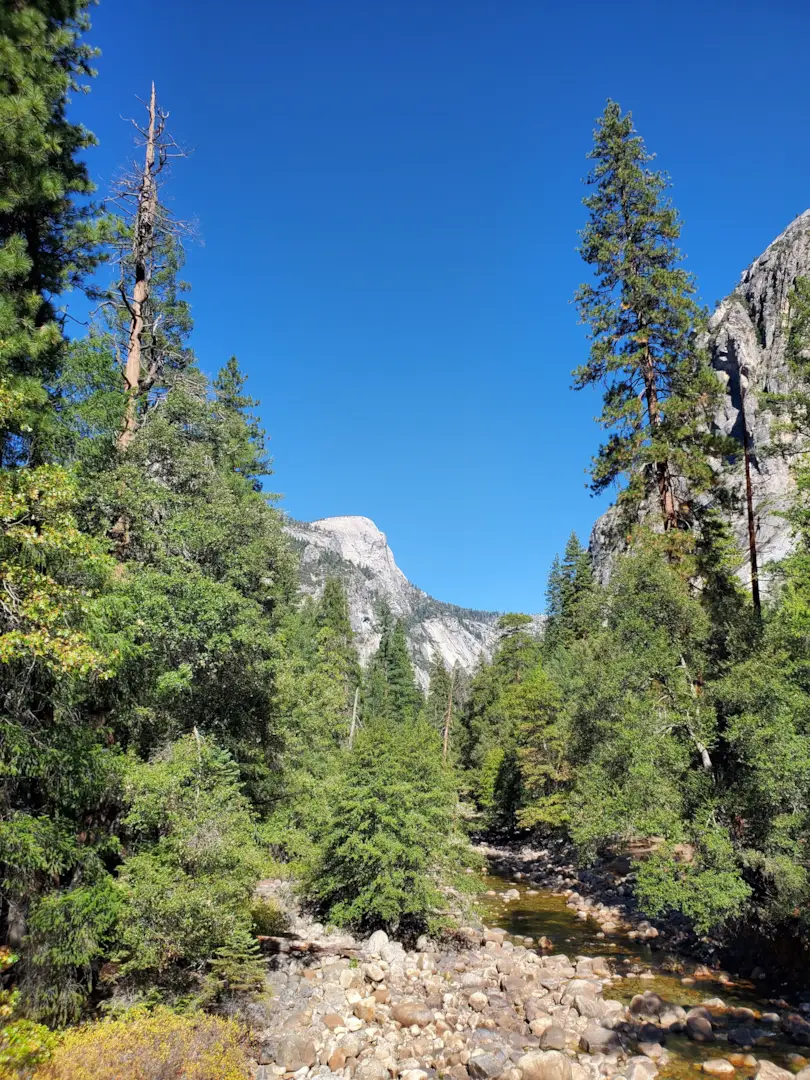 Yosemite National Park 