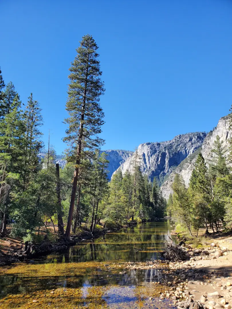 Yosemite National Park 