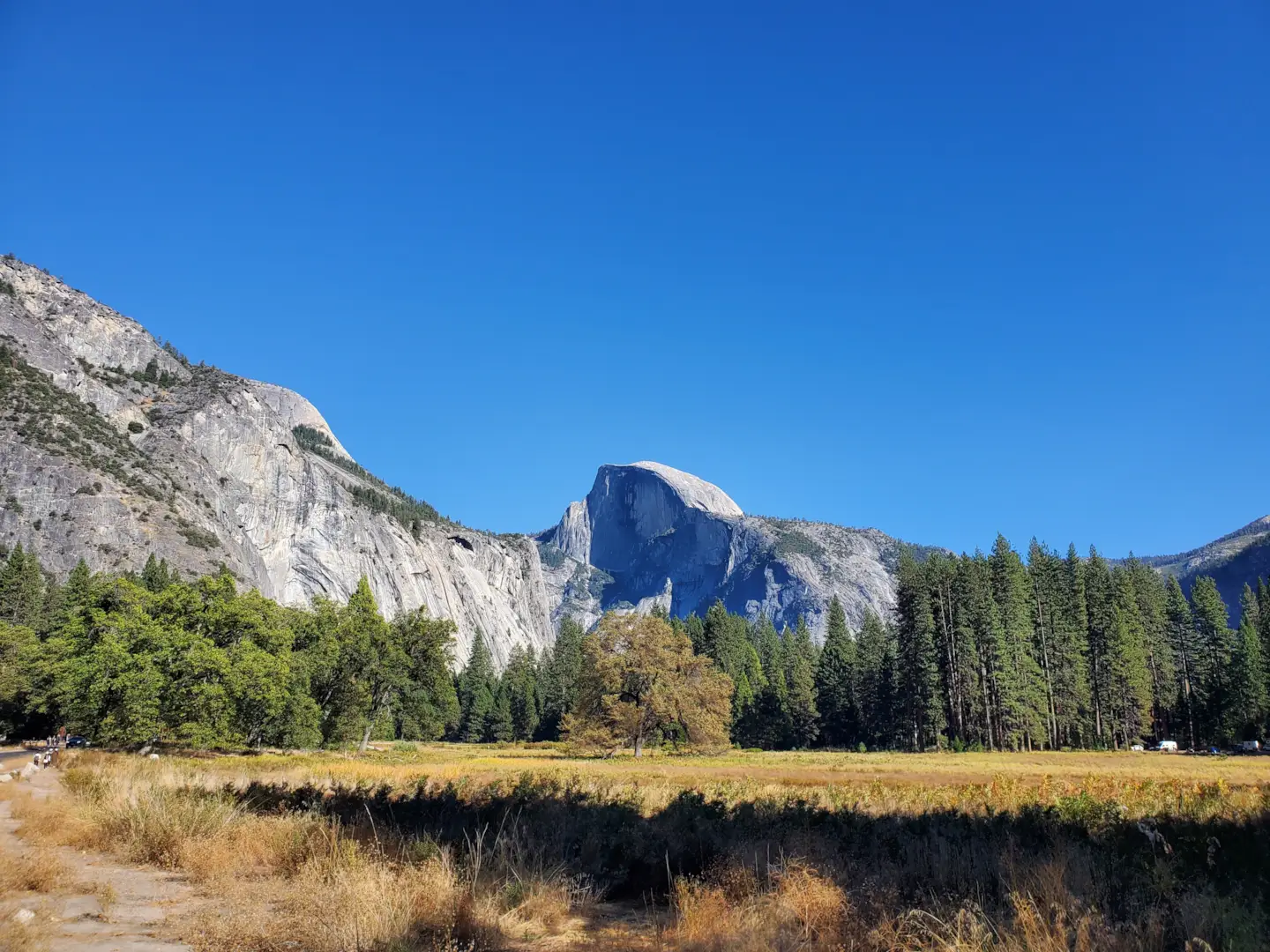 Yosemite National Park 