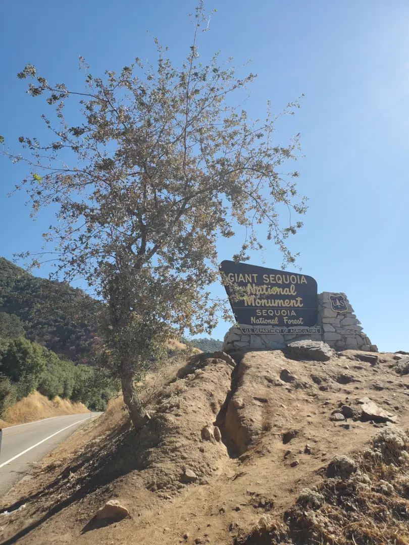 Kings Canyon National Park 