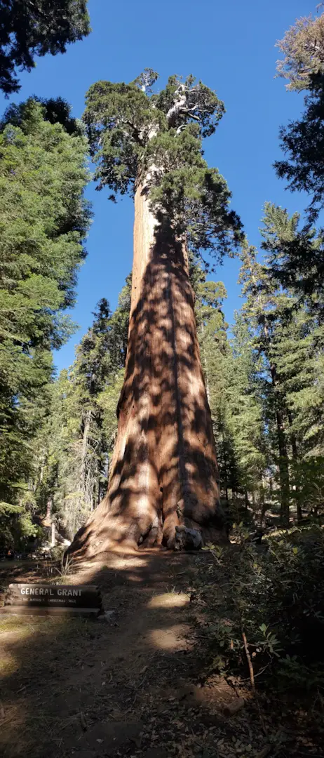 Kings Canyon National Park 