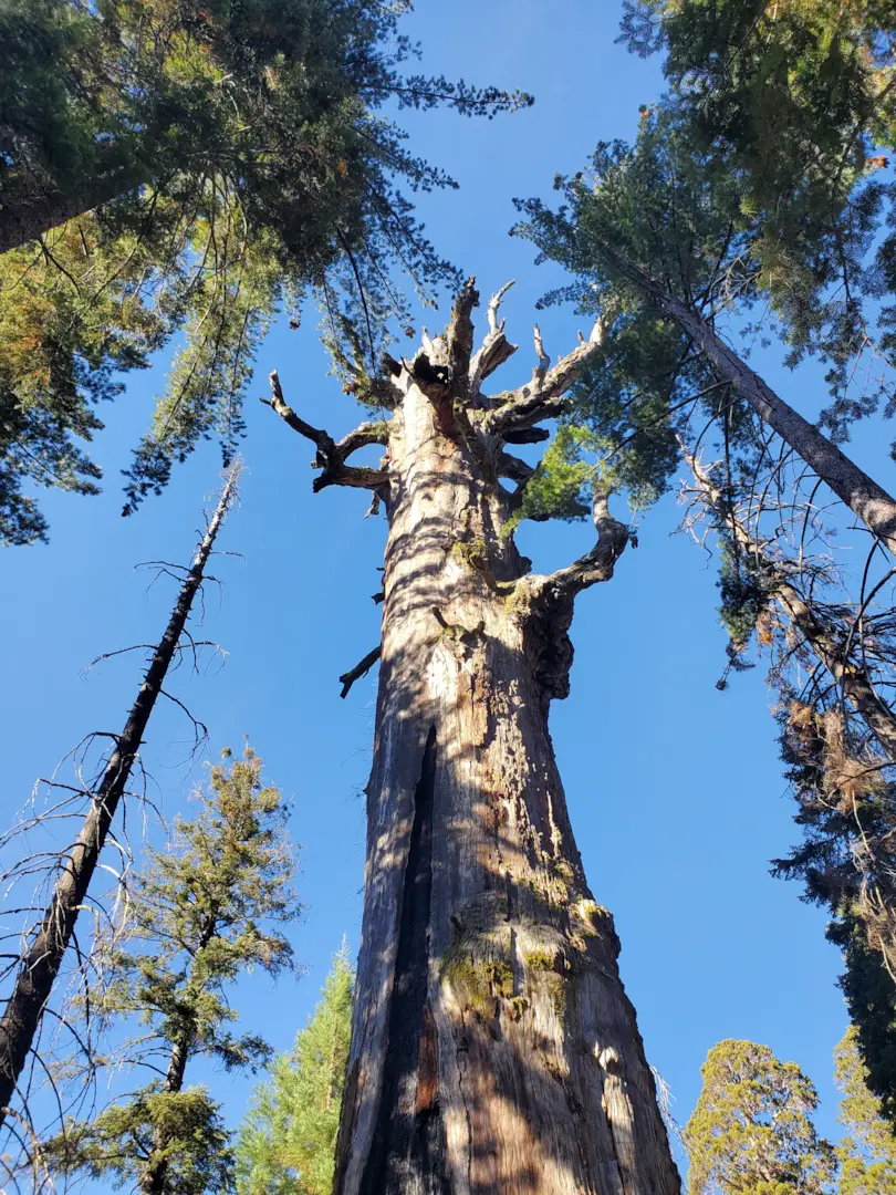 Kings Canyon National Park 