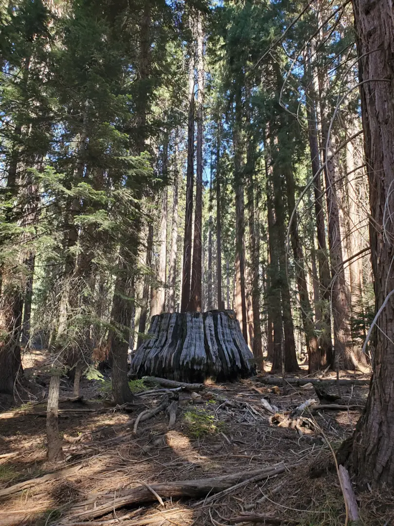 Kings Canyon National Park 