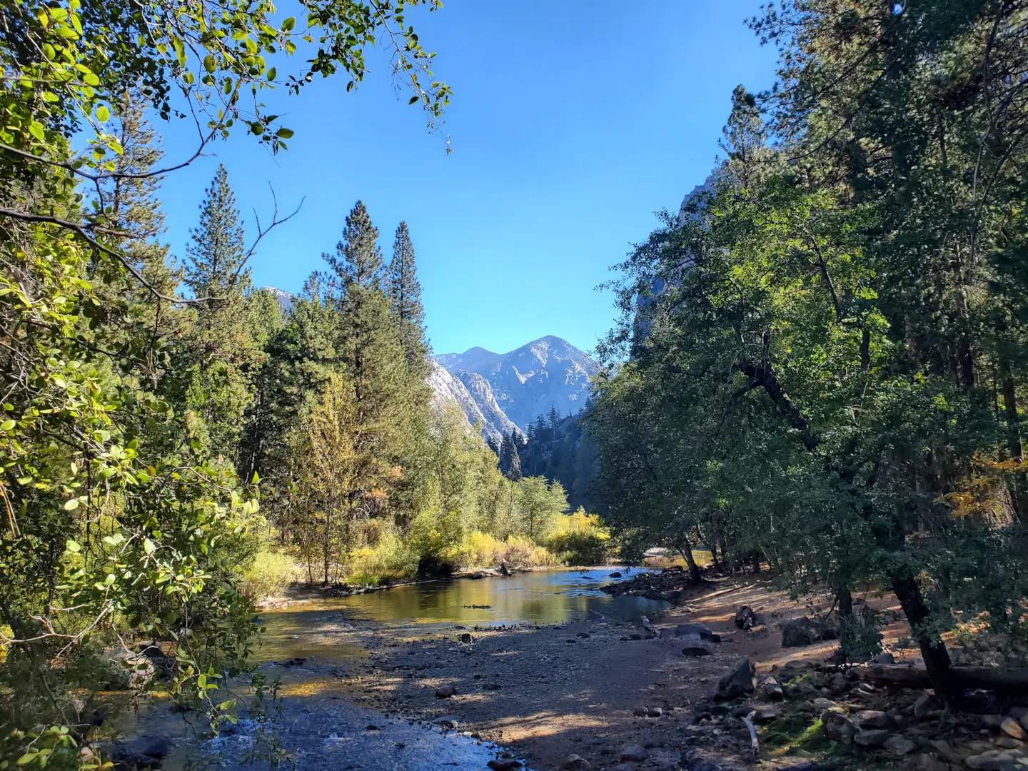 Kings Canyon National Park 