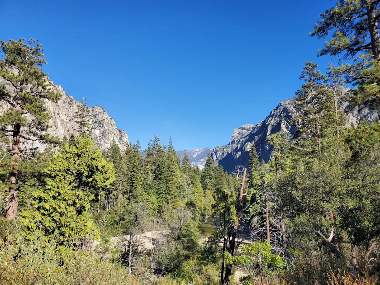 Kings Canyon National Park 