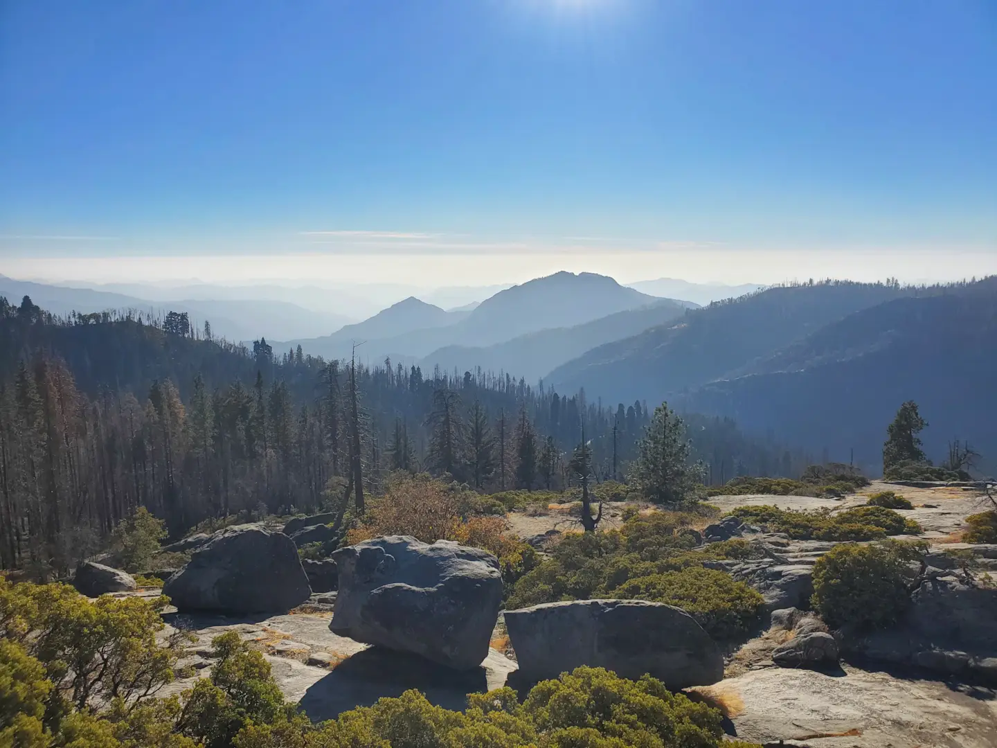 Sequoia National Park 