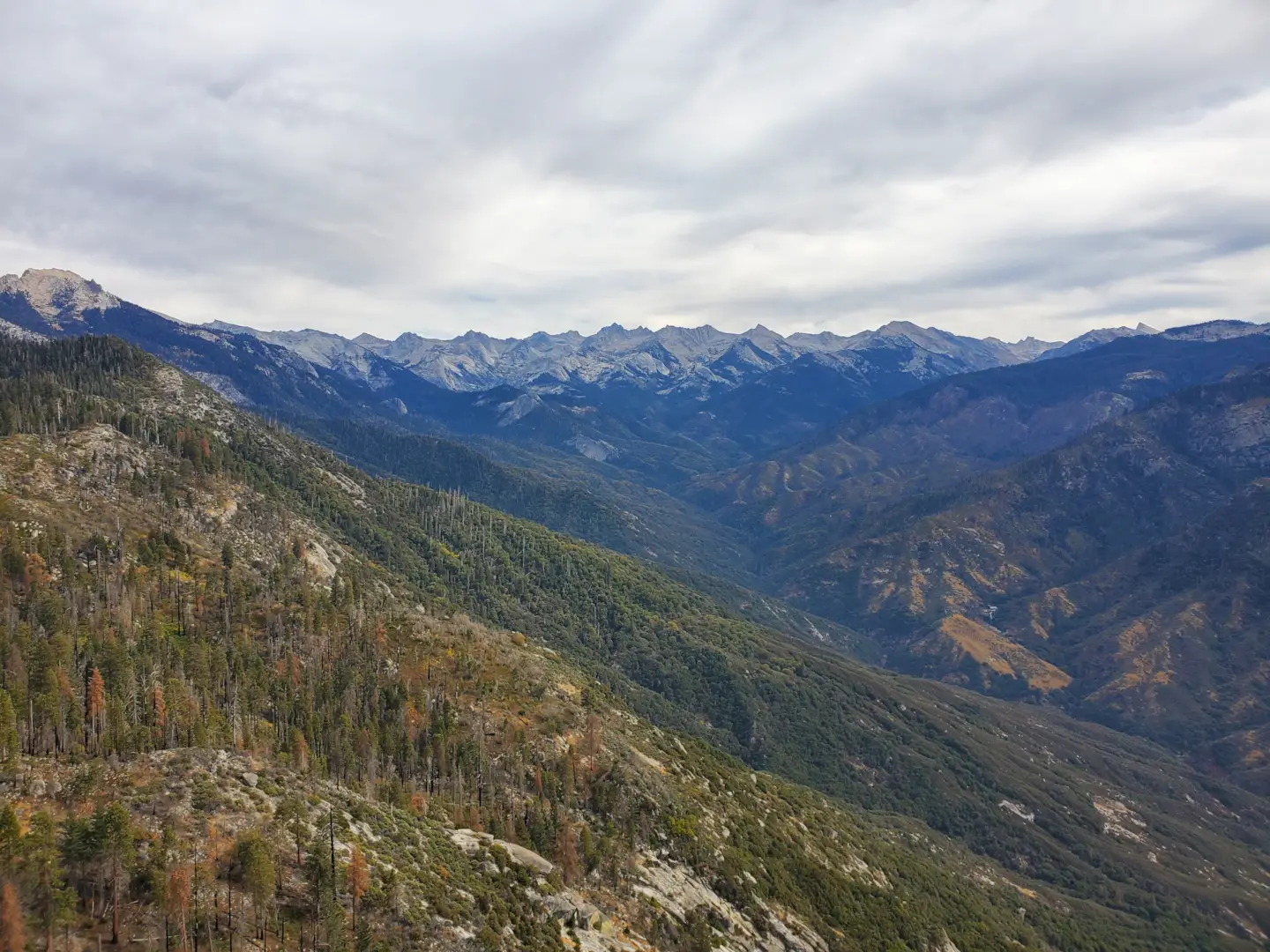 Sequoia National Park 