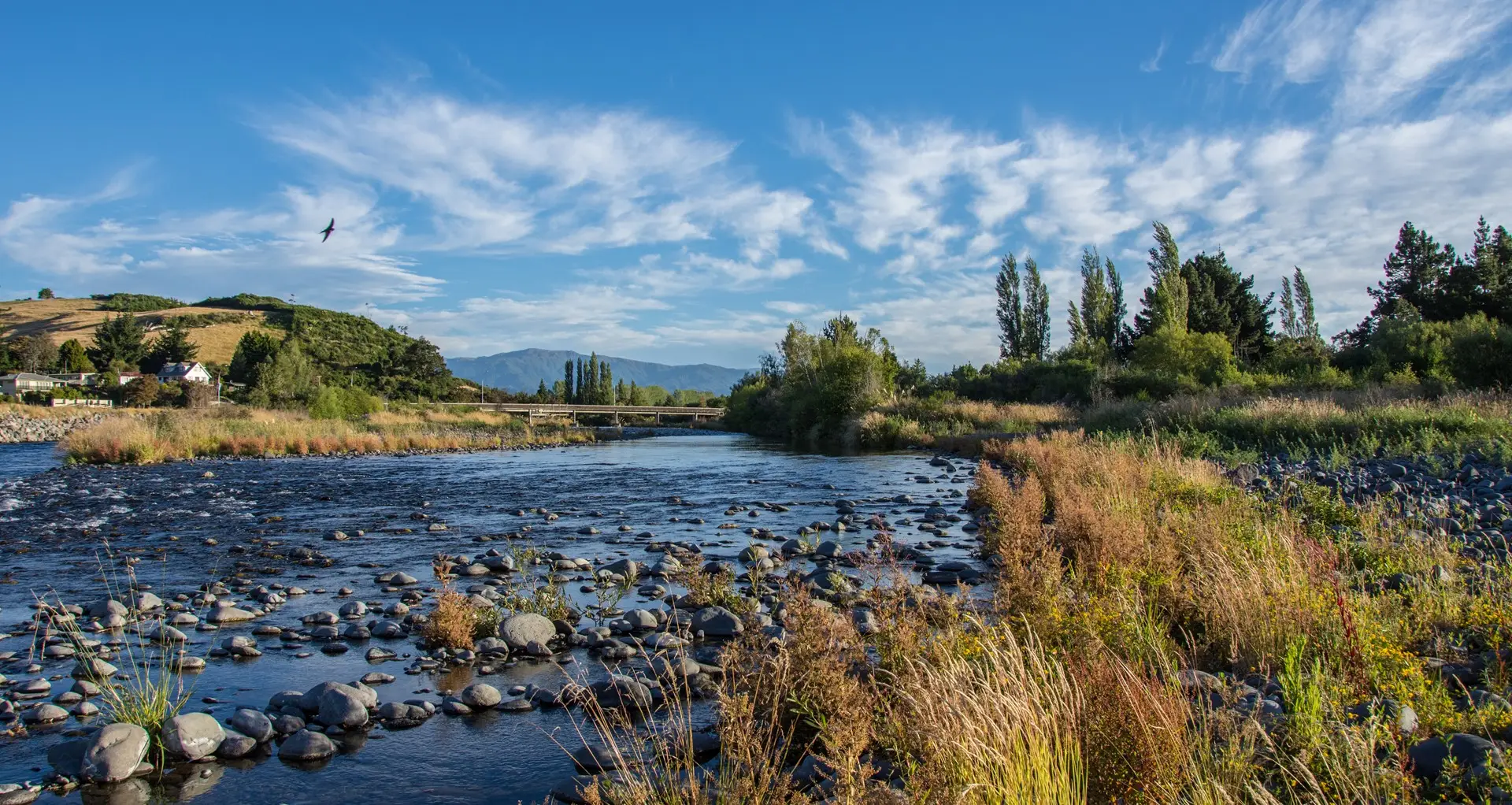 Tongariro River